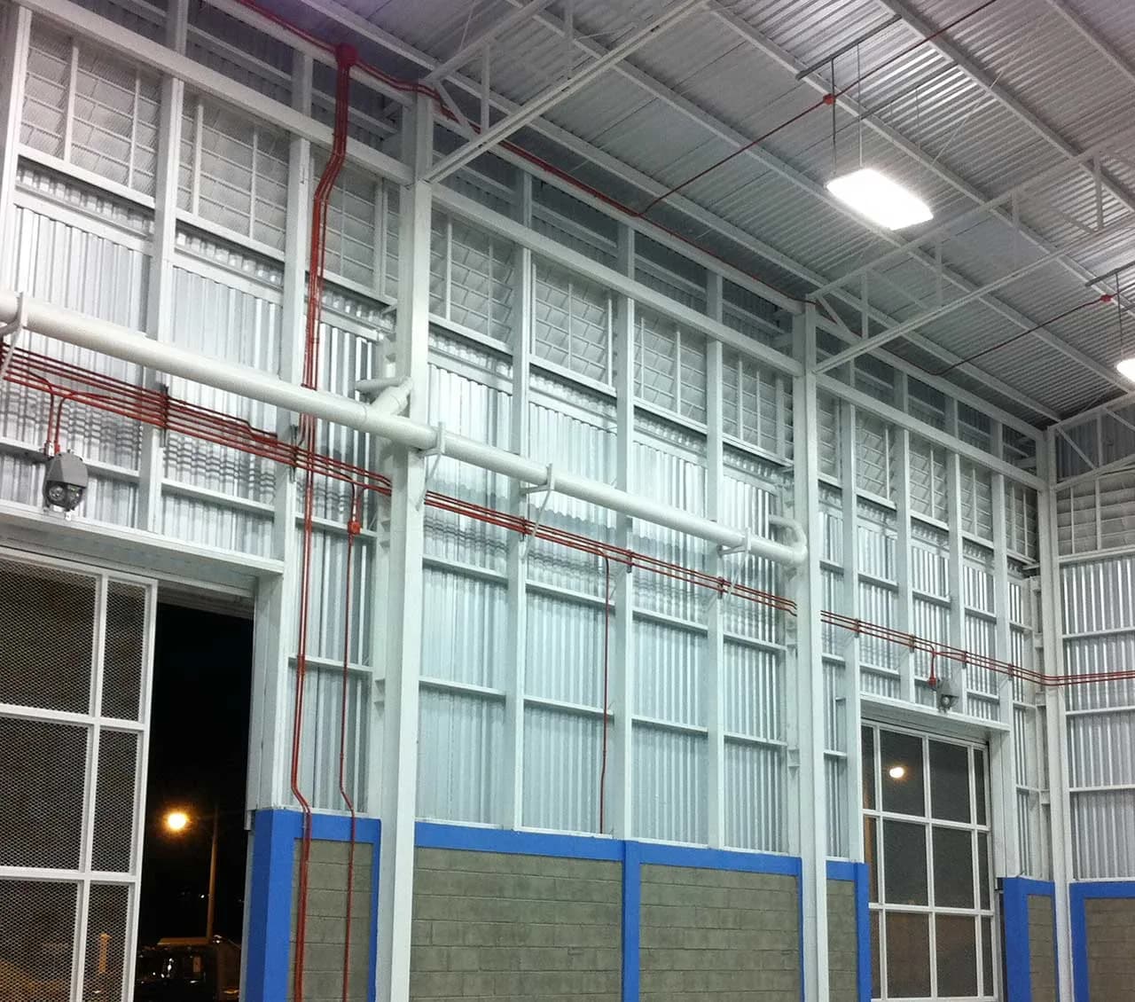 Aguazul plant